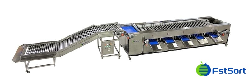 images/1657092299391máquina de producción de pepino.jpg